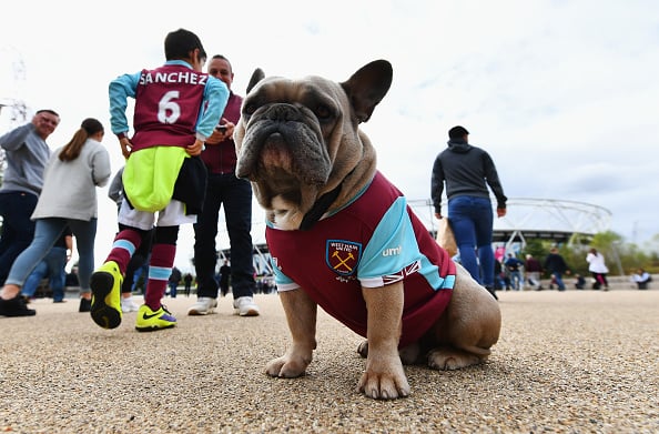 west ham black and gold kit