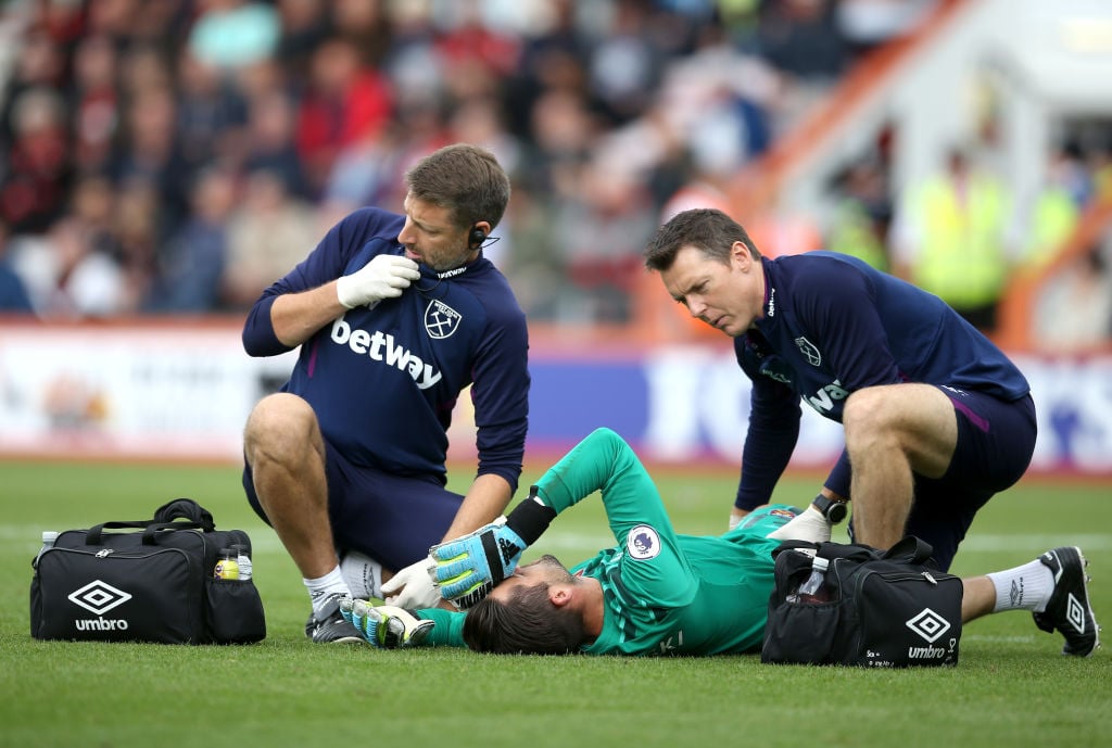 David Gold provides Lukasz Fabianski injury update on Twitter