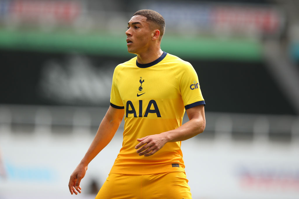 Newcastle United v Tottenham Hotspur - Premier League