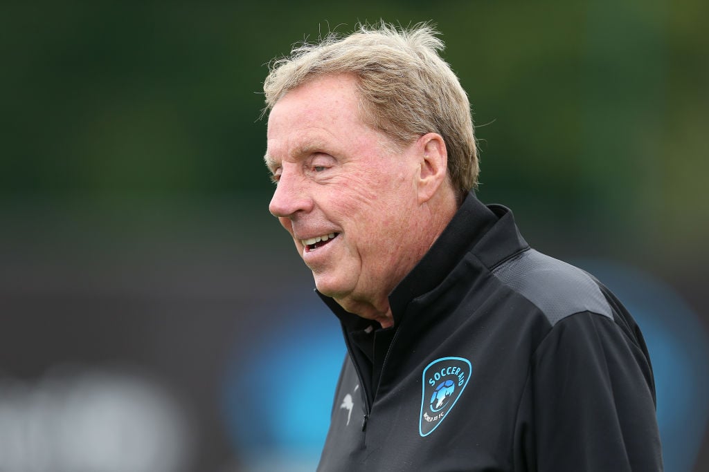 Harry Redknapp says only David Moyes would sign unfancied player for West Ham in reminder over transfer trust