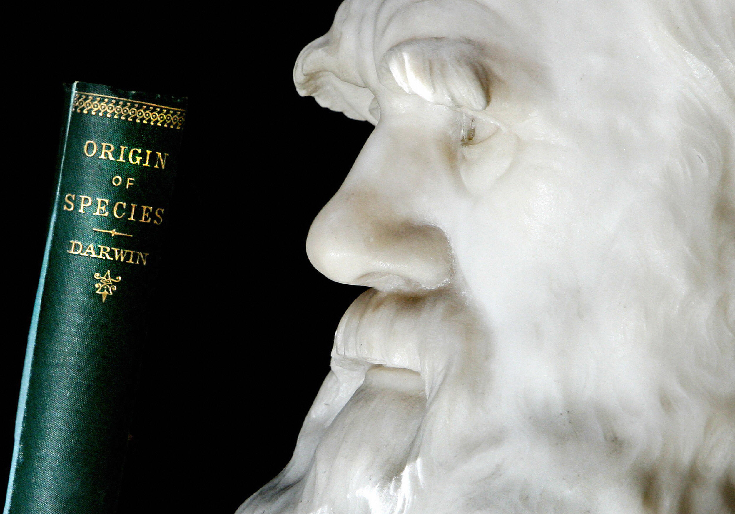 A copy of Darwin's book the "Origin of S