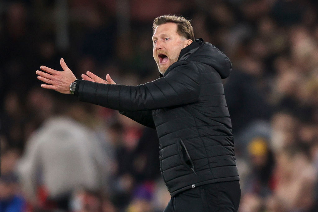 Southampton v Norwich City - Premier League