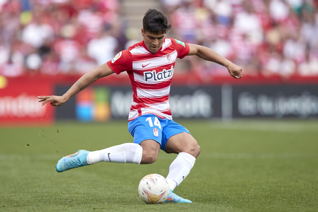 Granada CF v RC Celta de Vigo - La Liga Santander