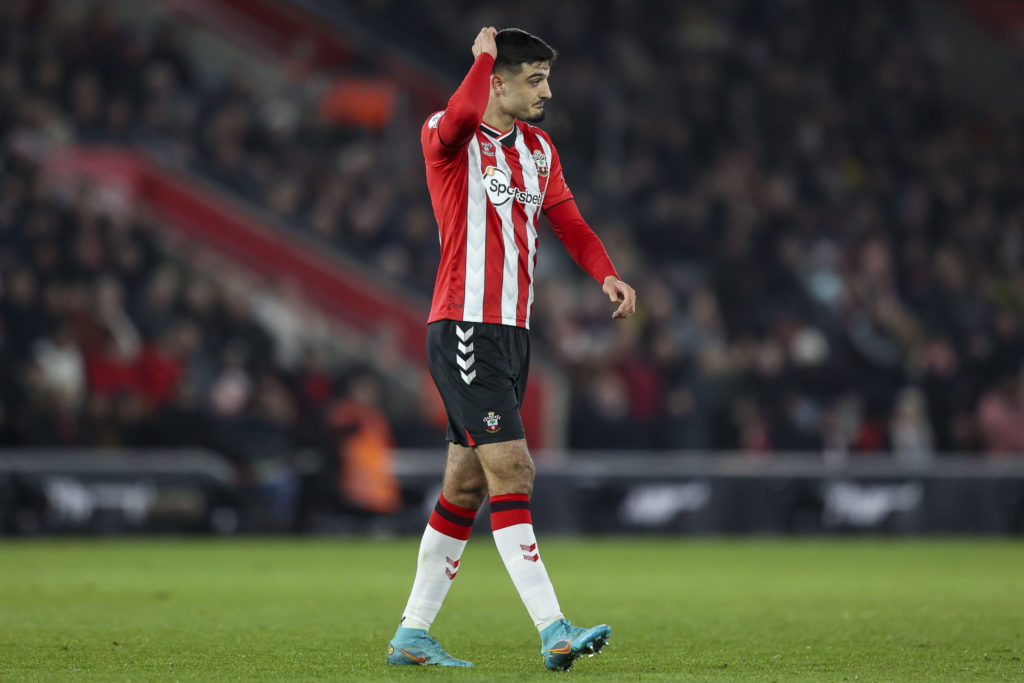 Southampton v Norwich City - Premier League