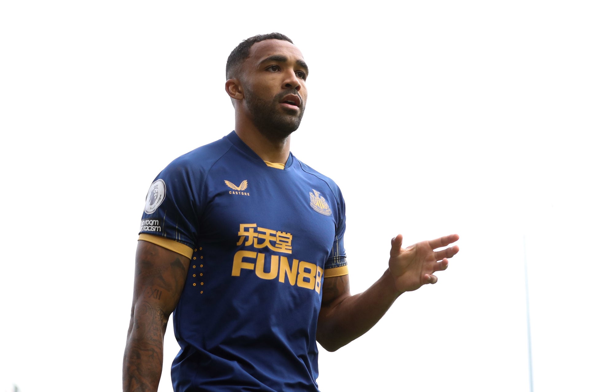 Fulham FC v Newcastle United - Premier League