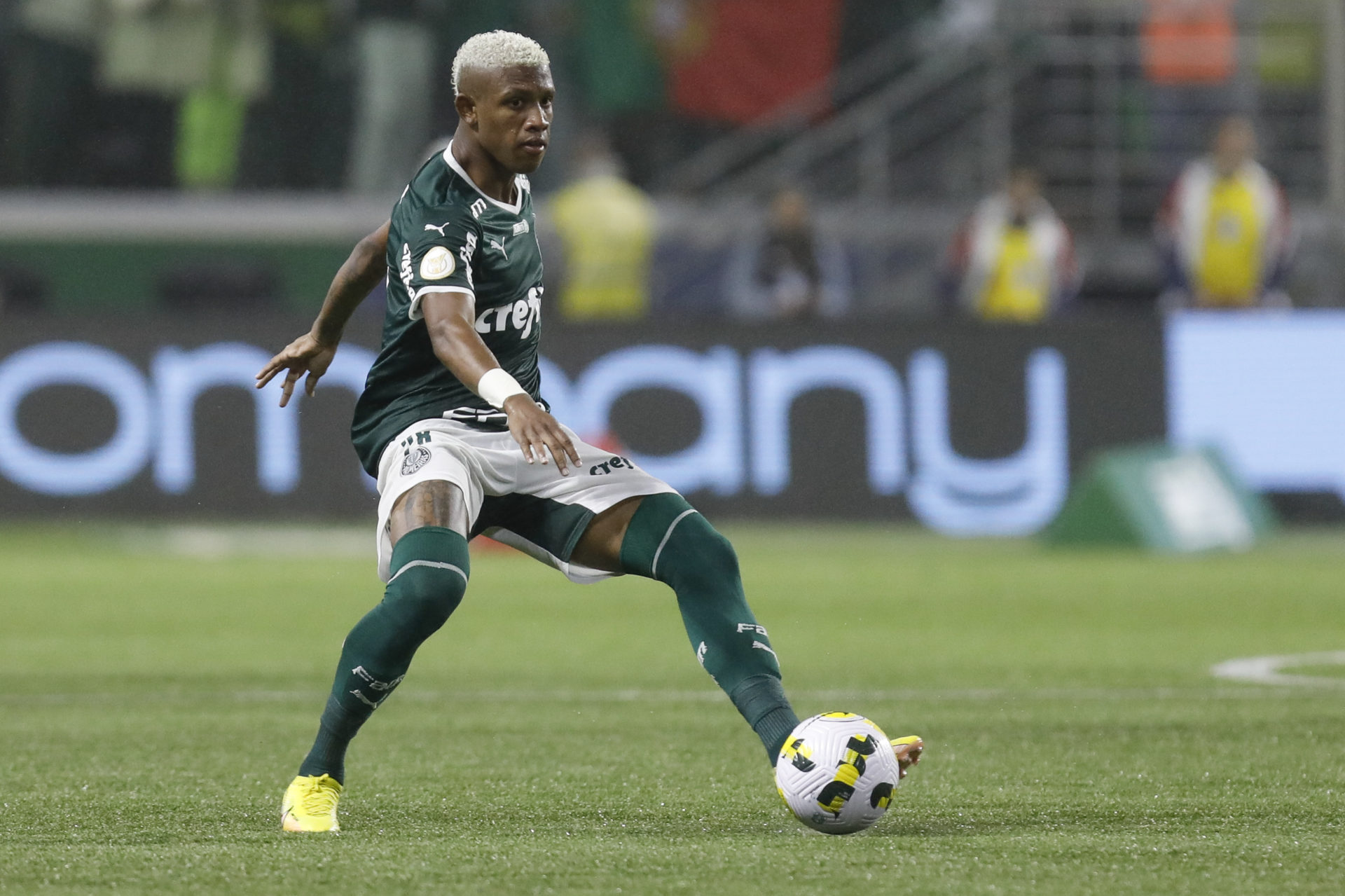 Palmeiras v Fortaleza - Brasileirao 2022