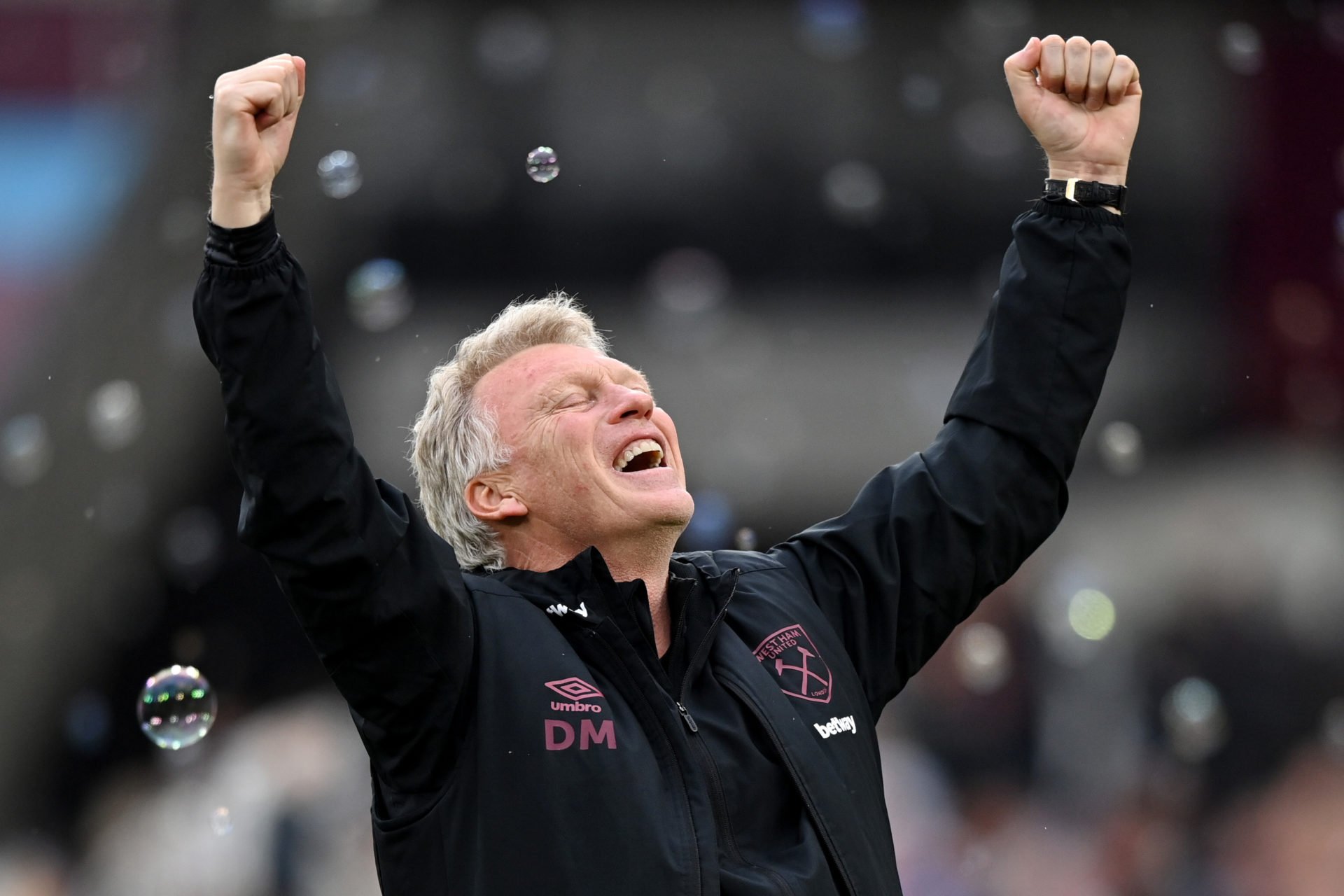 Huge double boost for West Ham as birds and bees do Moyes a relegation favour