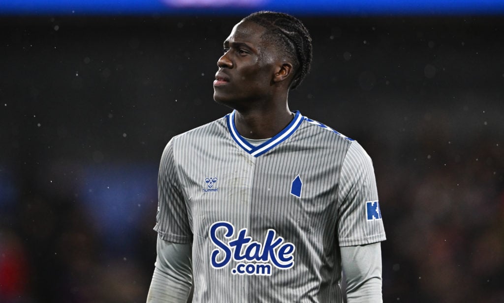 Crystal Palace v Everton - Emirates FA Cup Third Round