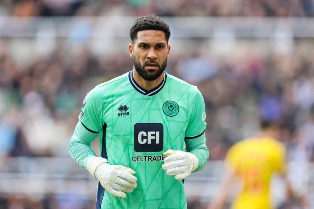 Newcastle United v Sheffield United - Premier League