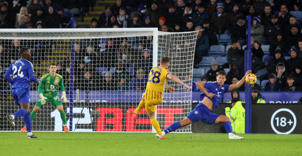 Leicester City FC v Brighton & Hove Albion FC - Premier League