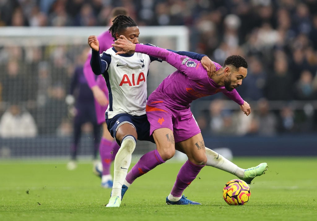 Tottenham Hotspur FC v Wolverhampton Wanderers FC - Premier League