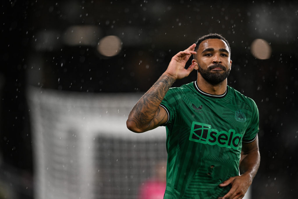 Callum Wilson during Wolverhampton Wanderers v Newcastle United - Premier League