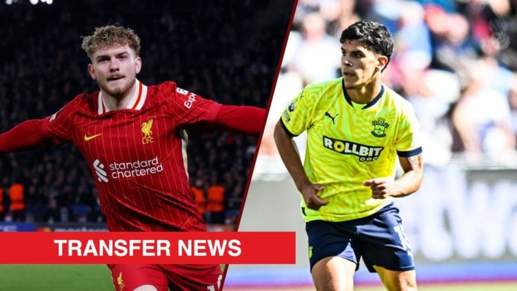 Split image showing Liverpool ace Harvey Elliott and Southampton midfielder Mateus Fernandes