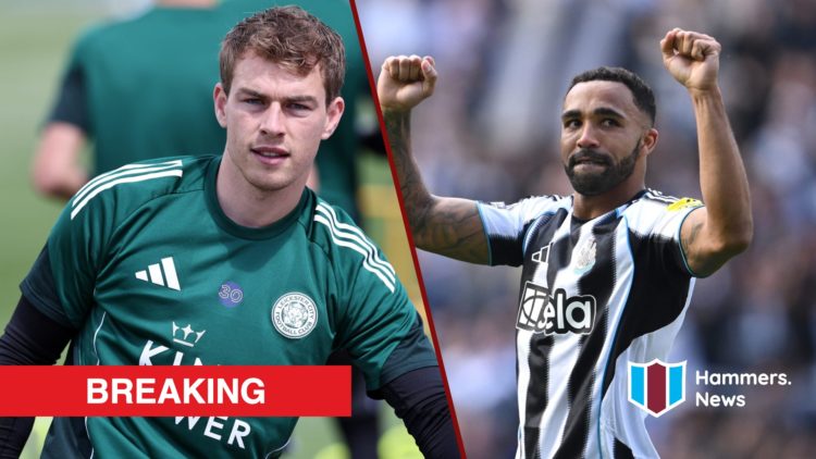 Split image showing Leicester City goalkeeper Mads Hermansen and West Ham's new striker Callum Wilson playing for Newcastle