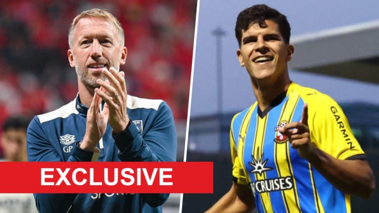West Ham head coach Graham Potter applauds and Southampton star Mateus Fernandes celebrates scoring