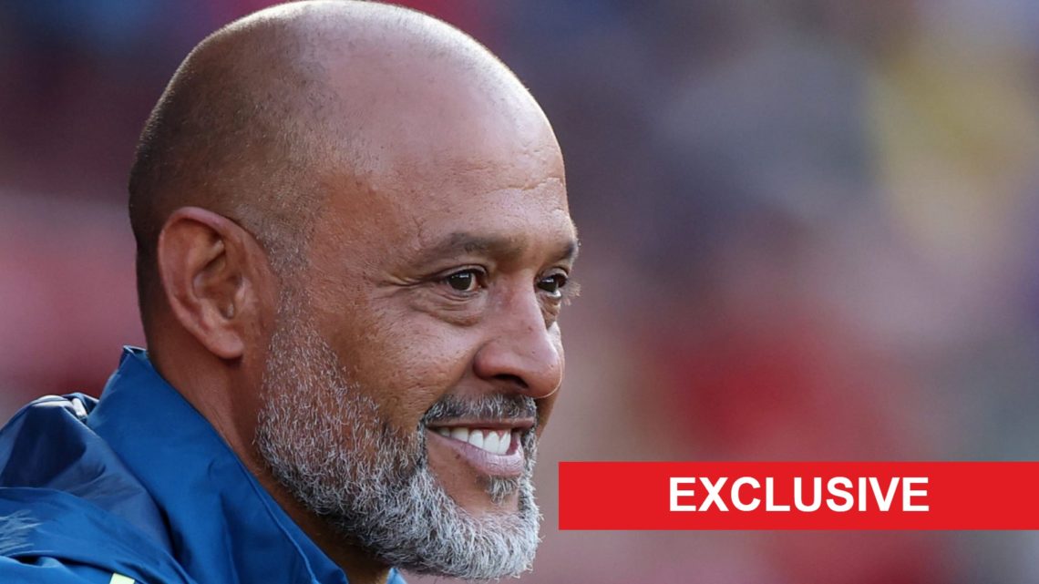 Former Forest boss Nuno Espirito Santo has been named the new West Ham head coach