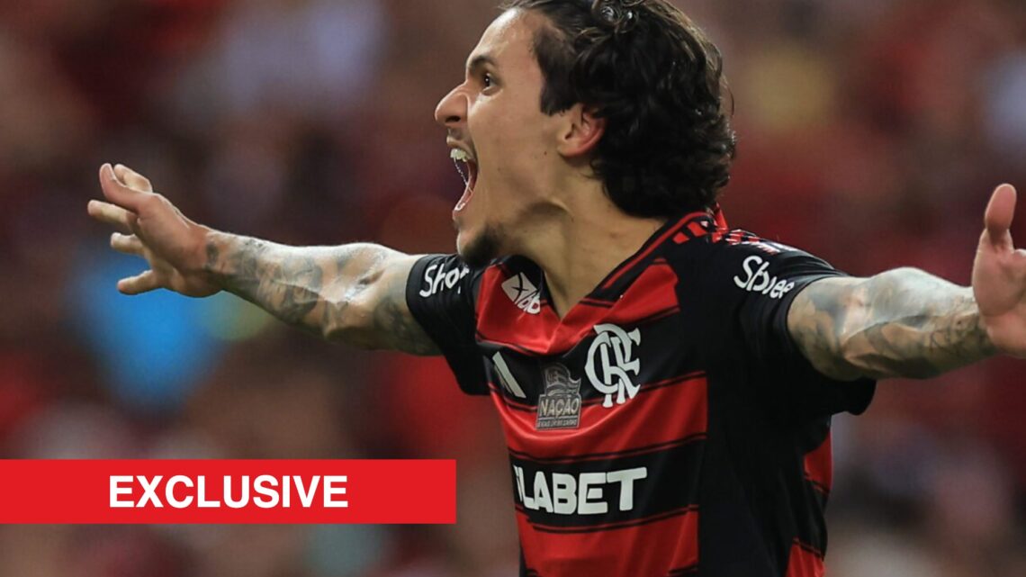 Image showing Brazil international Pedro celebrating a goal for Flamengo