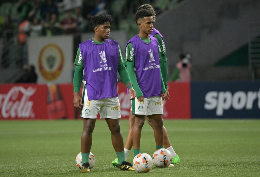 Endrick and Estevao Willian during their time together at Palmeiras