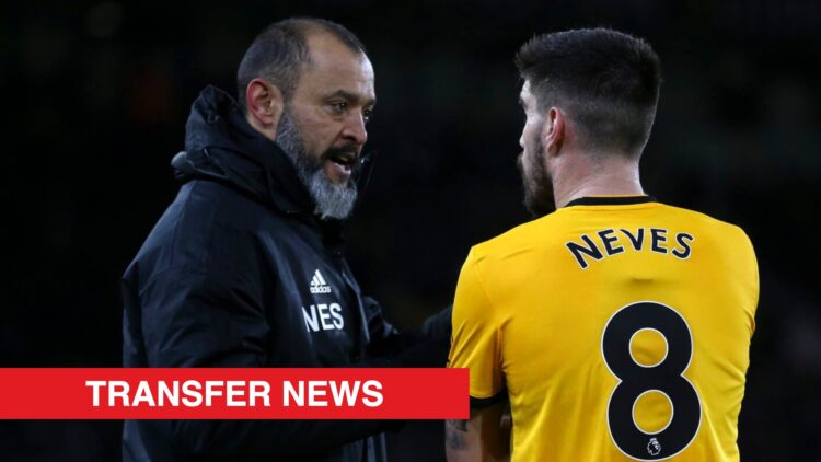 Image showing Nuno Espirito Santo and Ruben Neves at Wolves