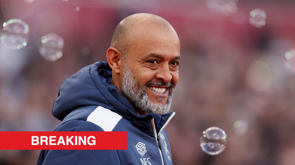 Image showing Nuno Espirito Santo coaching West Ham United