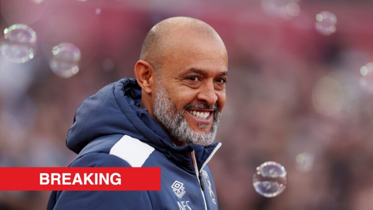 Image showing Nuno Espirito Santo coaching West Ham United