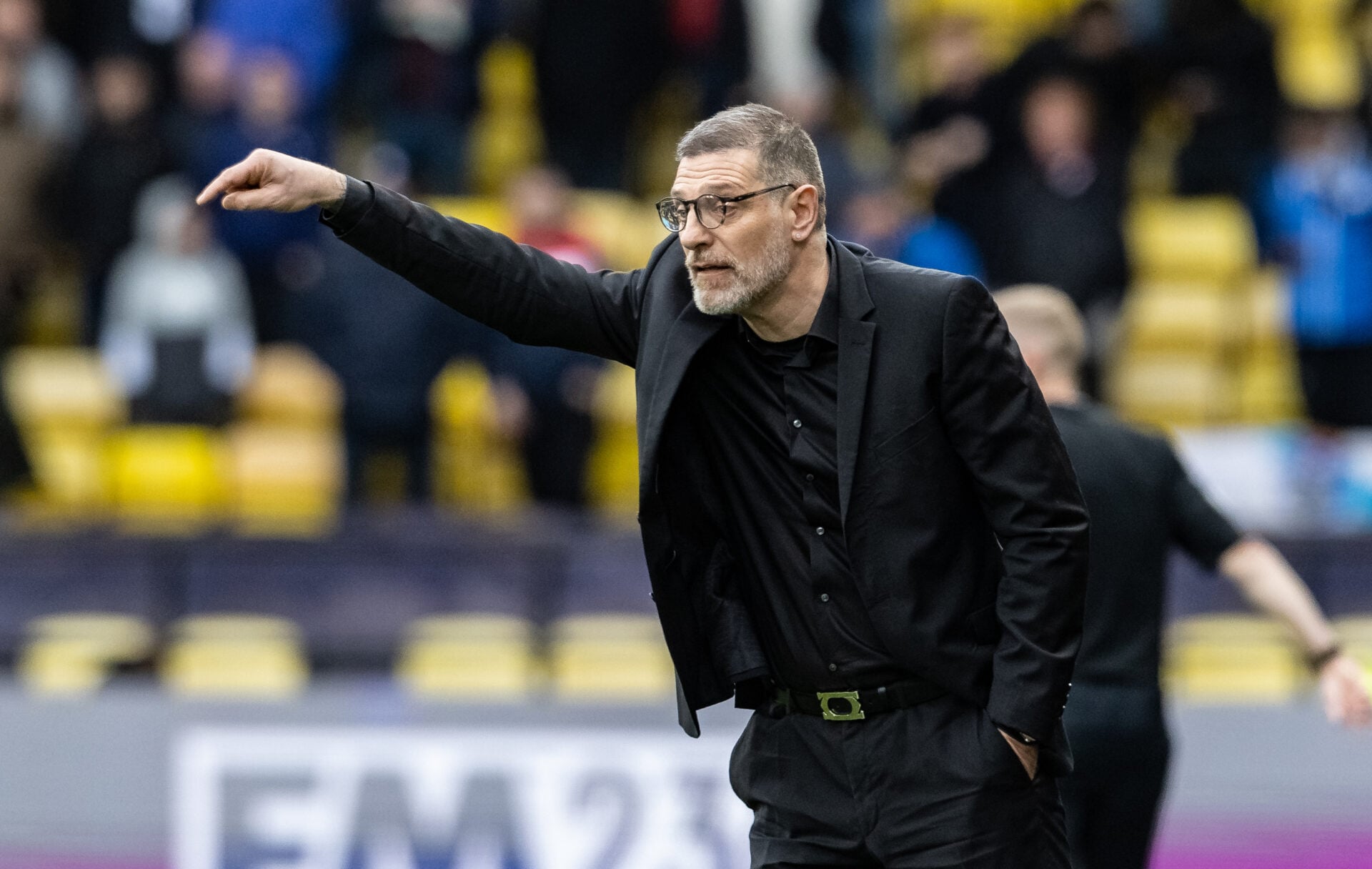 Slaven Bilic when manager of Watford vs Preston North End
