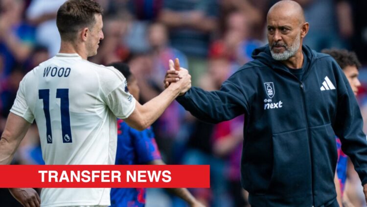 Image showing Chris Wood and Nuno Espirito Santo at Nottingham Forest