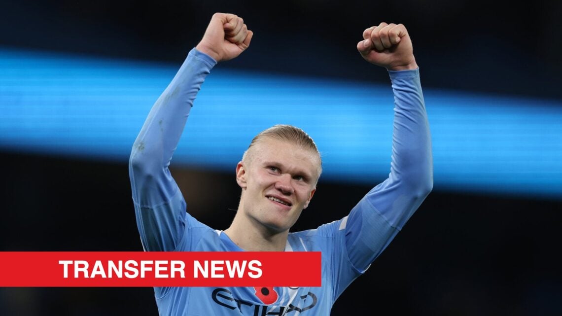 Image showing Erling Haaland celebrating a goal for Manchester City
