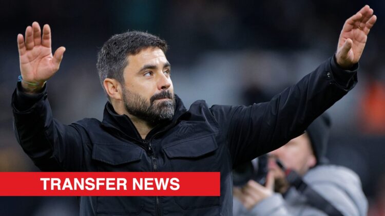 Image showing Swansea City manager Vitor Matos