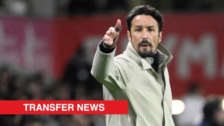Image showing Gil Vicente's Portuguese coach Cesar Peixoto