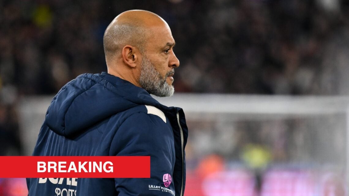 Image showing Nuno Espirito Santo, manager of West Ham United