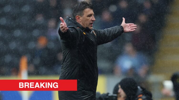 Image showing Sergej Jakirovic, manager of Hull City