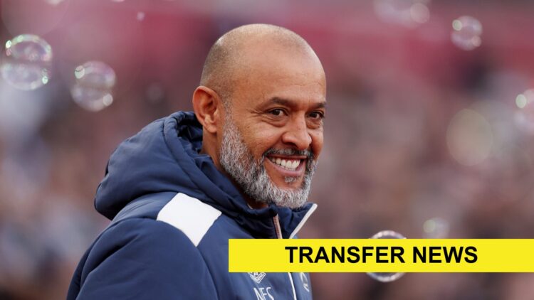 West Ham head coach Nuno Espirito Santo during the match with Newcastle United. A 'transfer news' banner has been added.