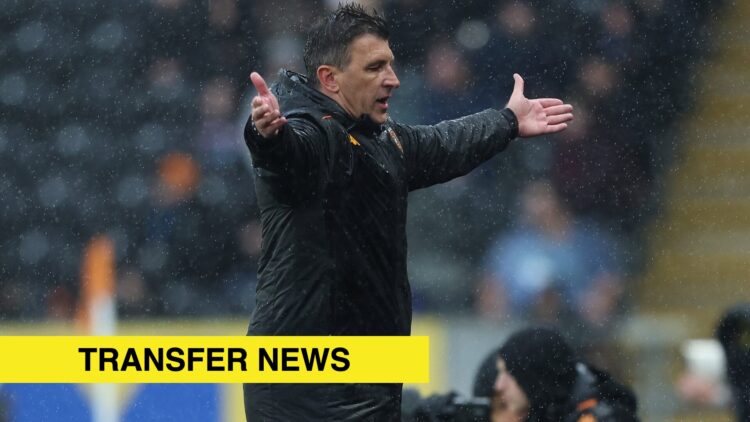 Image showing Sergej Jakirovic, manager of Hull City