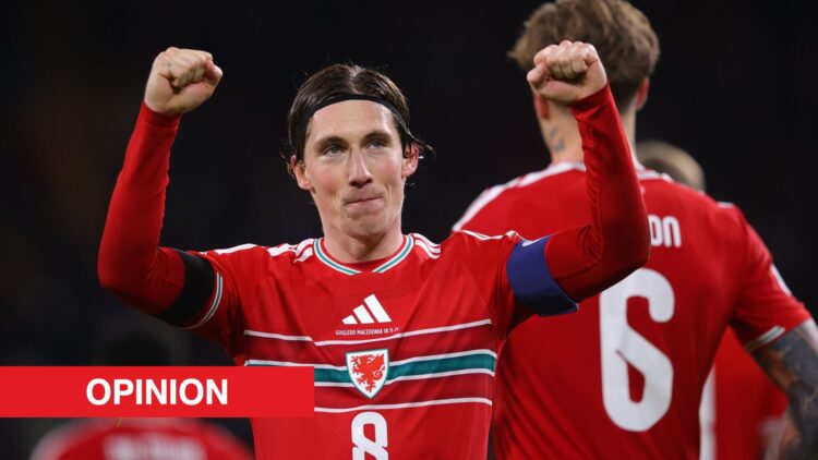 Image showing Harry Wilson of Wales celebrating