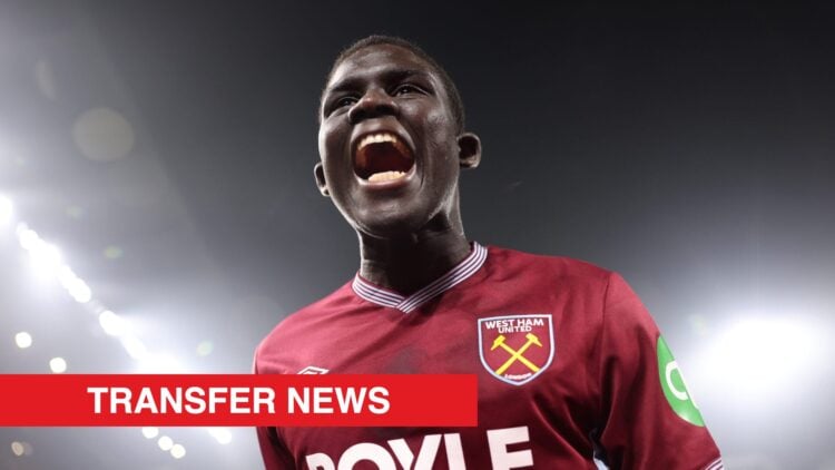 Image showing El Hadji Malick Diouf of West Ham United