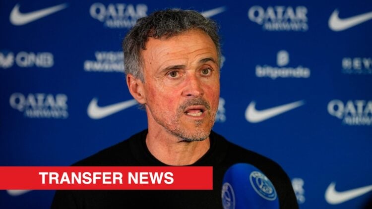 Image showing Luis Enrique, coach of Paris Saint-Germain
