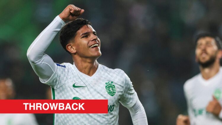 Image showing Mateus Fernandes at Sporting CP