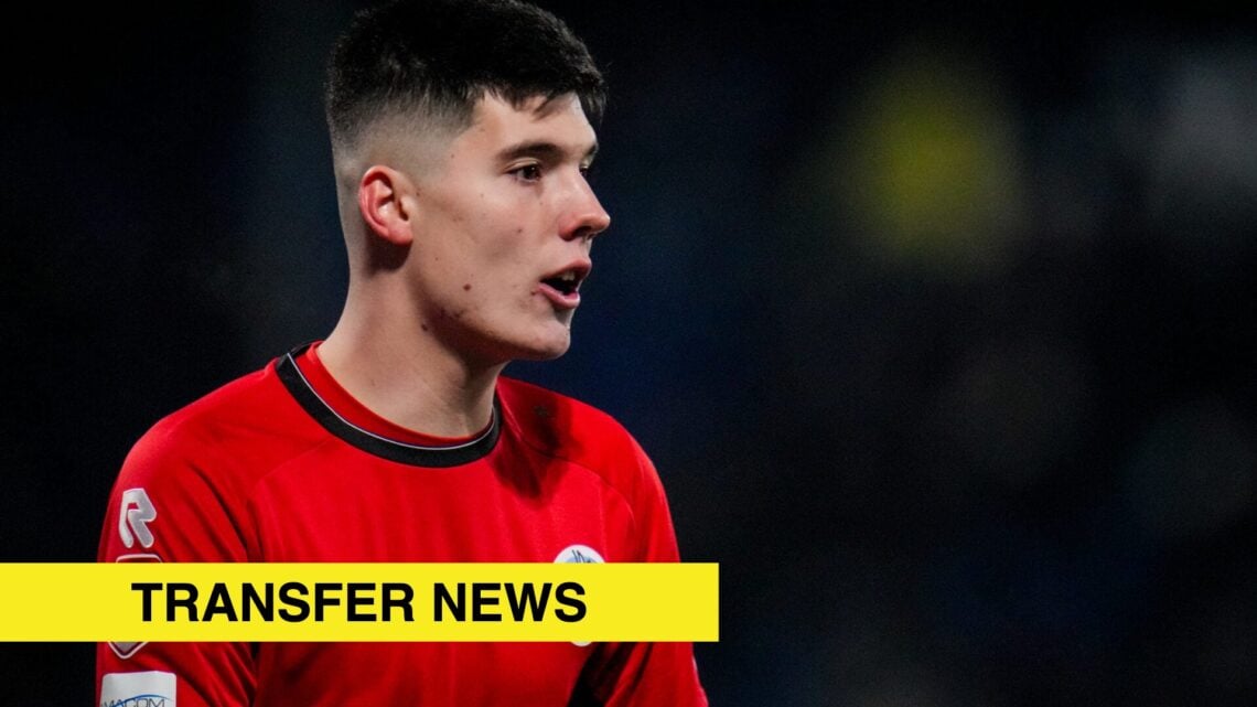 Image showing Krisztian Hegyi at FC Den Bosch